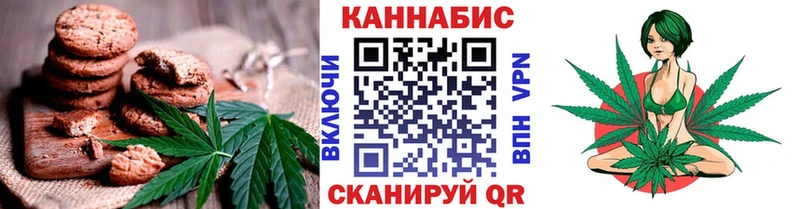 mega ТОР  Бавлы  мориарти телеграм  Cannafood марихуана 