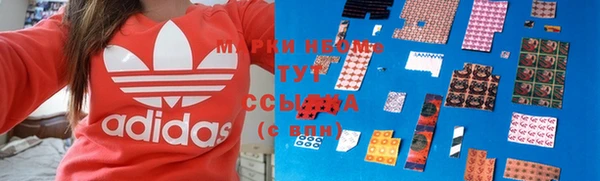 ECSTASY Болотное