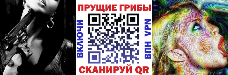 Галлюциногенные грибы Psilocybine cubensis  Бавлы 